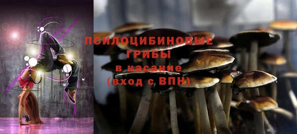хмурый Медногорск