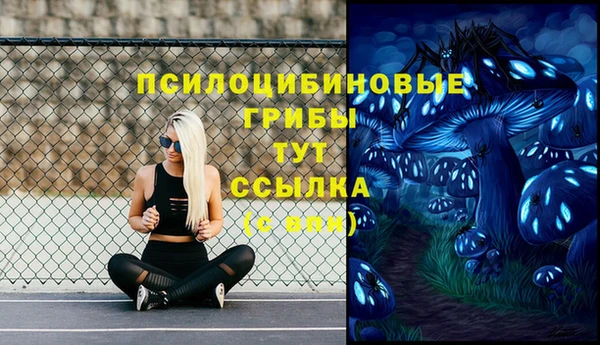 прущая мука Магас