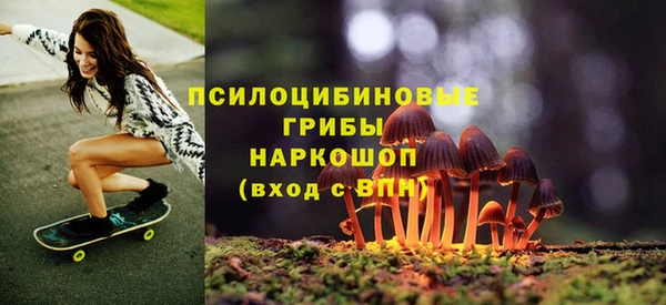 прущая мука Магас