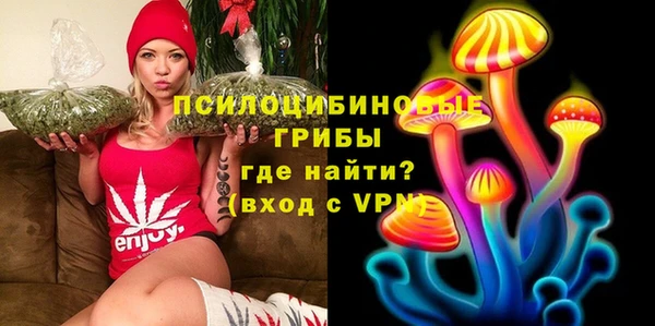 хмурый Медногорск