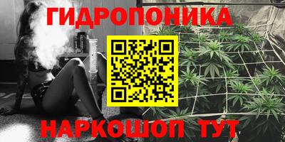 ALPHA PVP Заволжье