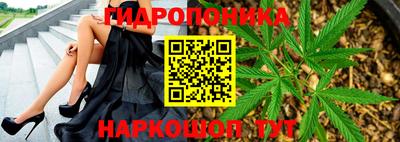ALPHA PVP Заволжье