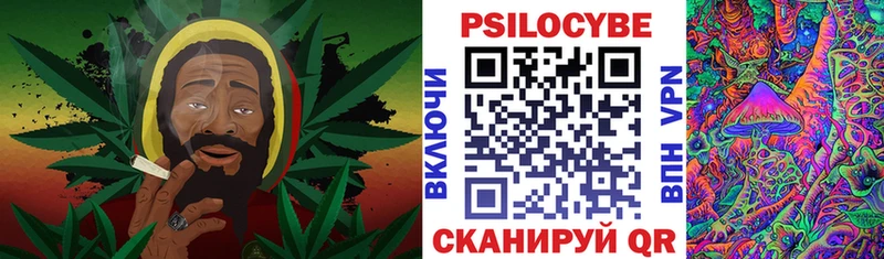 Псилоцибиновые грибы Psilocybine cubensis  это как зайти  Мурино  где найти наркотики 