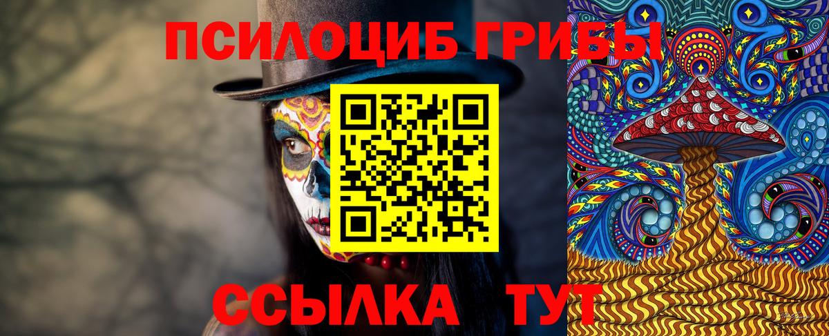 купить   Вход с VPN  Мурино  Галлюциногенные грибы Cubensis 