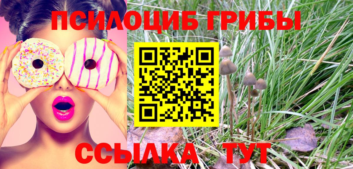 Галлюциногенные грибы Magic Shrooms Мурино