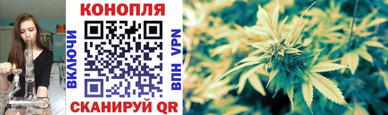 Шишки марихуана гибрид  хочу   Мурино 